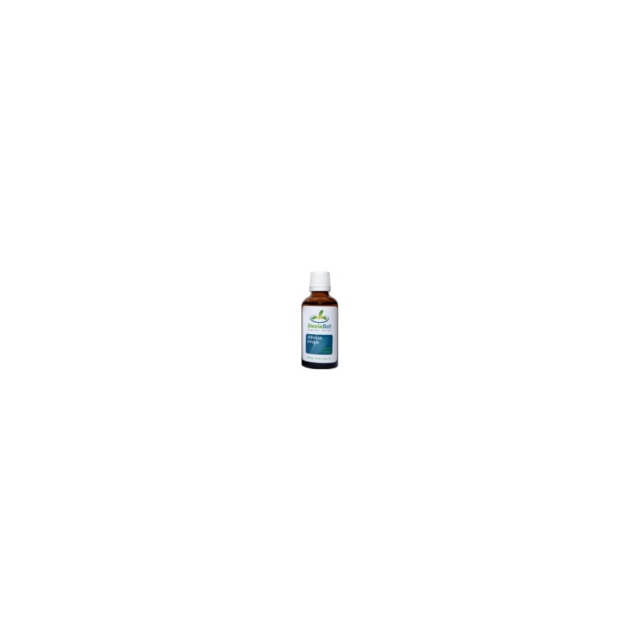 Stevija skystis (Steviolio glikozido pagrindu sudarytas saldiklis) 50 ml