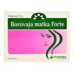 Borovaja matka Forte, 60 kaps. po 375 mg